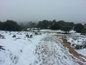 IMG-20131118-WA0000[1]