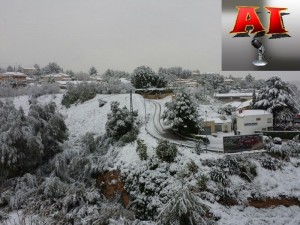 Nevada 06